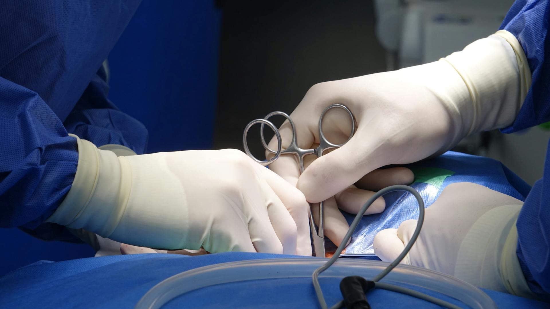 Gloved hands holding surgical scissors during a procedure